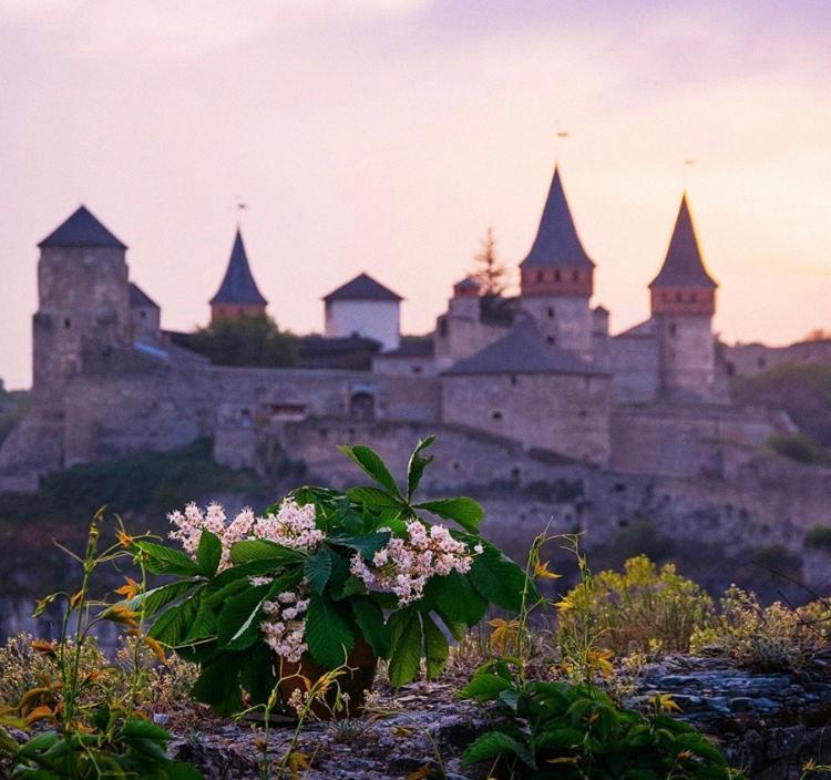 Центр Міста Апартаменты Kamianets-Podilsky Extérieur photo